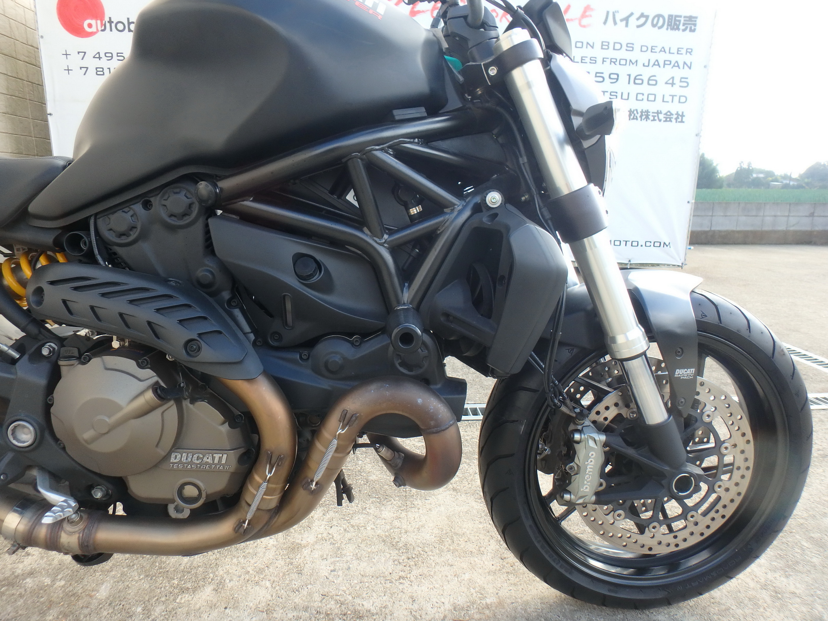 Купить мотоцикл Ducati Monster821A M821A 2014 фото 19