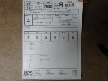 �������� �� ������ �������� BMW R1200ST 2005 ���� 5