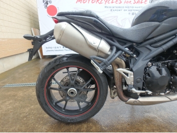     Triumph Speed Triple 2012  17