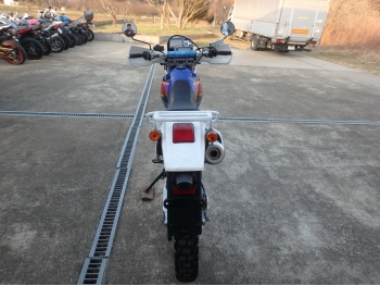     Suzuki Djebel250 GPS DR250 1998  10