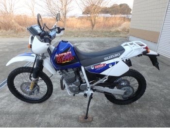 Заказать из Японии мотоцикл Suzuki Djebel250 GPS DR250 1998 фото 12