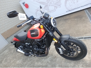     Harley Davidson X500 2024  7