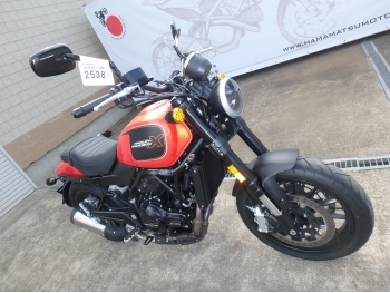   #2538   Harley Davidson X500