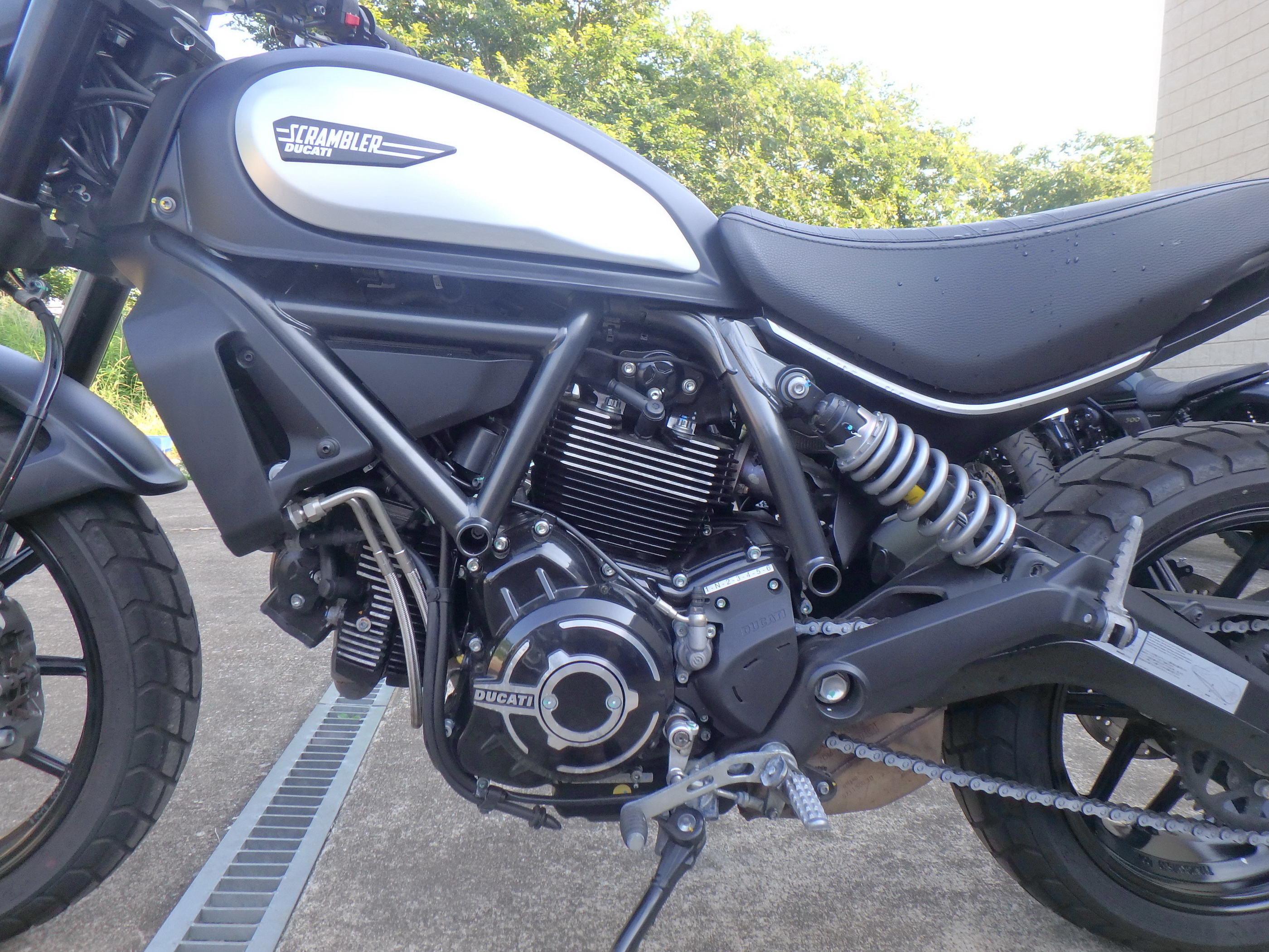 Ducati Scrambler Icon Ducati Scrambler Icon