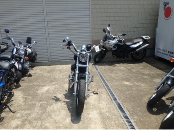 Заказать из Японии мотоцикл Harley Davidson XL1200L-I Sportster1200 Low 2010 фото 5